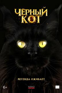 Черный кот