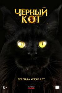 Черный кот Черный кот