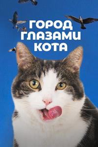 Город глазами кота Город глазами кота