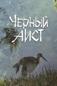 Черный аист Черный аист