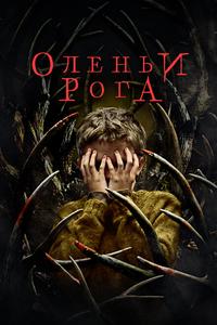 Оленьи рога Оленьи рога