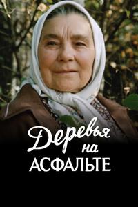 Деревья на асфальте Деревья на асфальте