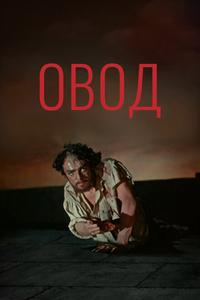 Овод Овод