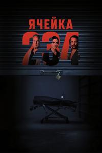 Ячейка 234 Ячейка 234