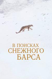 В поисках снежного барса В поисках снежного барса