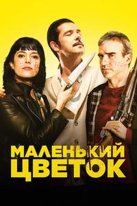 Маленький цветок Маленький цветок