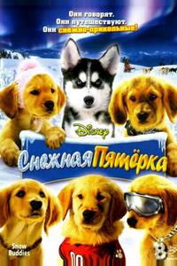 Снежная пятерка