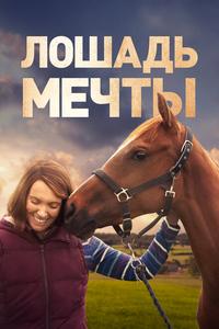 Лошадь мечты Лошадь мечты