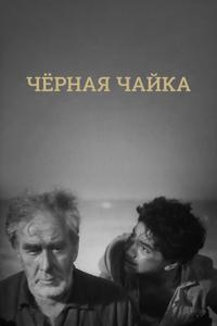 Черная чайка Черная чайка