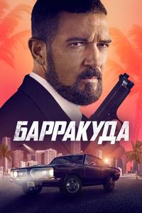 Барракуда Барракуда