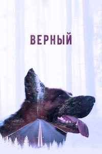 Верный Верный