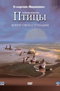 Птицы Птицы