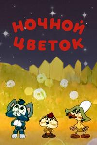 Ночной цветок Ночной цветок