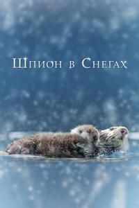 Шпион в снегах Шпион в снегах