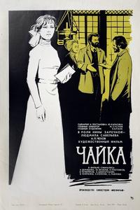 Чайка Чайка