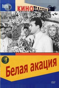 Белая акация Белая акация