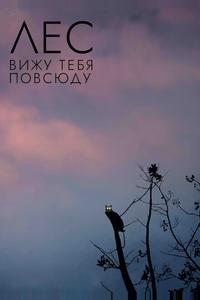 Лес: Вижу тебя повсюду Лес: Вижу тебя повсюду