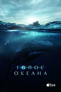 Голос океана Голос океана