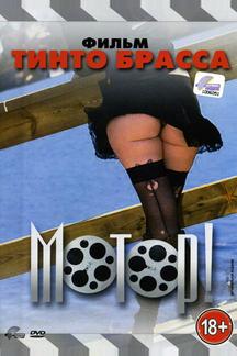 Мотор!