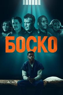 Боско