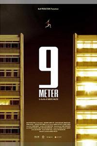 9 метров 9 метров