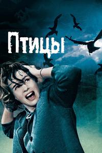 Птицы Птицы