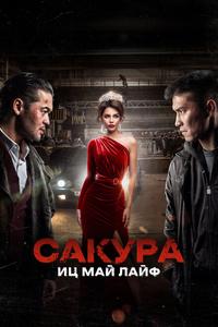 Сакура. Иц май лайф Сакура. Иц май лайф