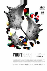 Манта Рэй Манта Рэй