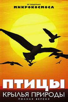 Птицы: Крылья природы