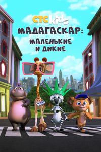 Мадагаскар: Маленькие и дикие Мадагаскар: Маленькие и дикие