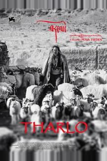 Тарло