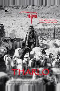Тарло Тарло
