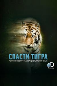 Спасти тигра Спасти тигра