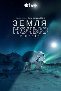 Земля ночью в цвете Земля ночью в цвете