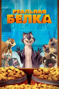 Реальная белка Реальная белка