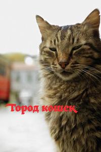 Кот Кот