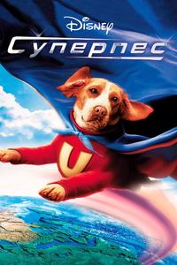 Суперпес Суперпес