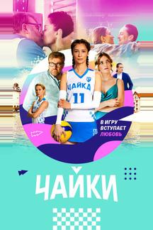 Чайки