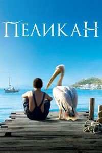 Пеликан Пеликан